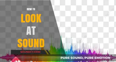Visualizing Sound: Techniques to See and Interpret Audio Waves