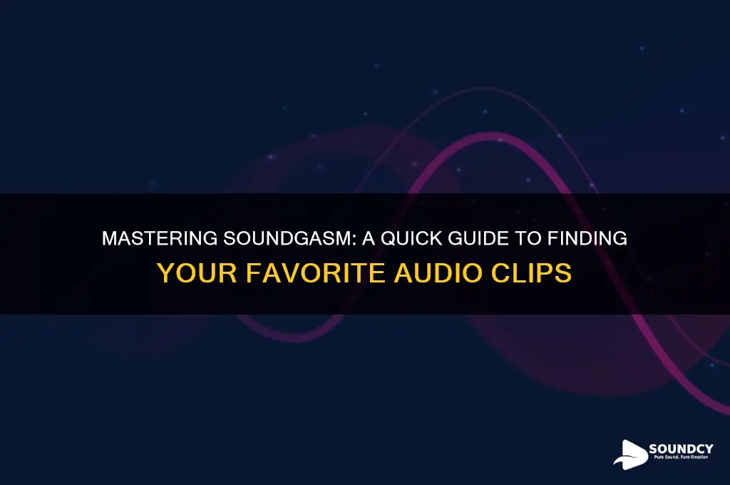 how to look up an audio on sound gasm