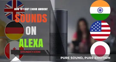 Looping Ambient Sounds on Alexa: A 1-Hour Guide