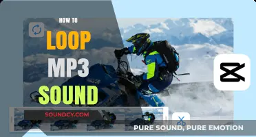 Mastering MP3 Loops: A Step-by-Step Guide to Seamless Audio Repeats