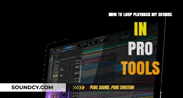 Mastering Pro Tools: Looping Sound Playback for Seamless Workflow