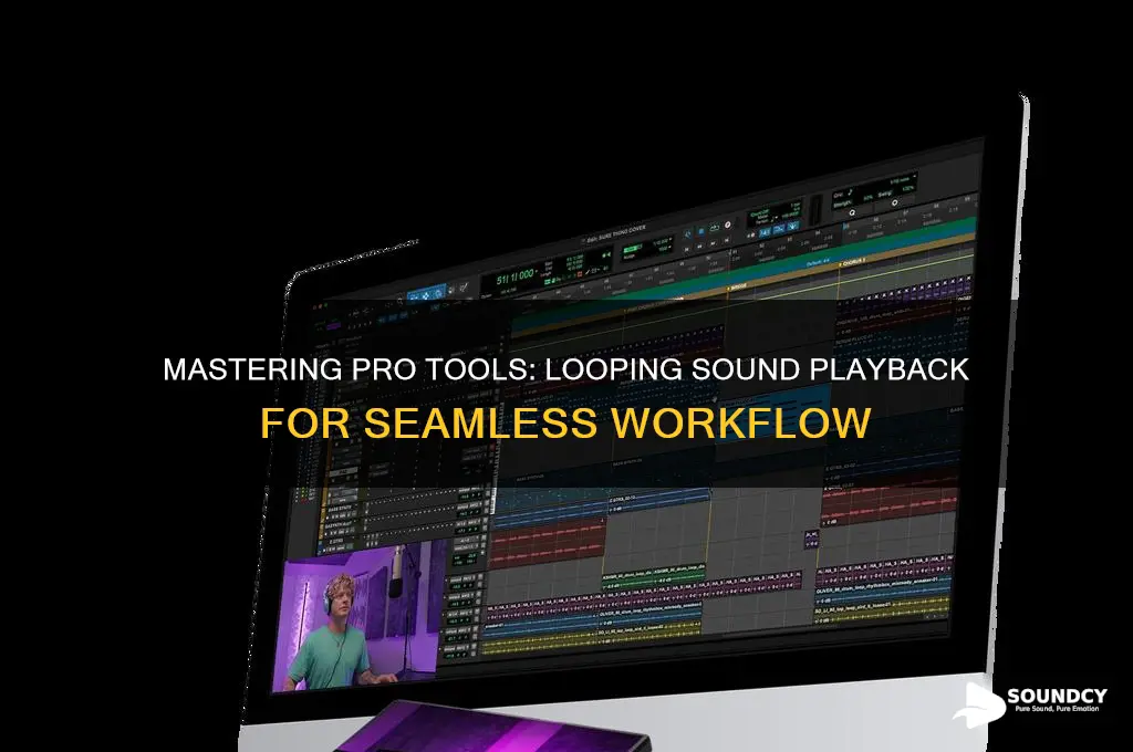 how to loop playback my sounds in pro tools
