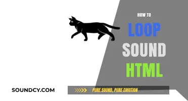 Mastering HTML Audio Loops: A Step-by-Step Guide for Endless Sound