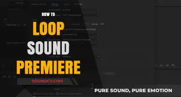 Mastering Audio Loops: A Guide to Repeating Sound in Premiere Pro