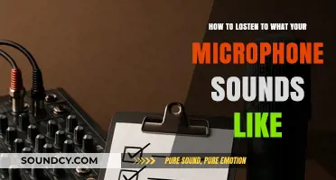 Master Your Mic: Simple Steps to Hear Your Microphone's True Sound