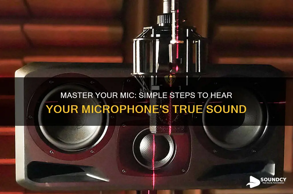 how to losten to what your microphone sounds like
