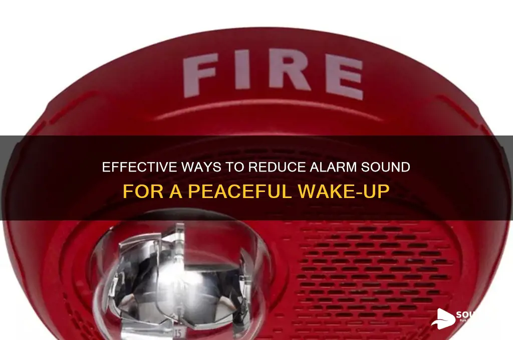 how to lower alarm sound