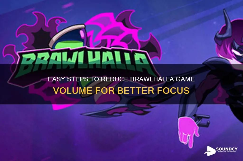 how to lower brawlhalla sound