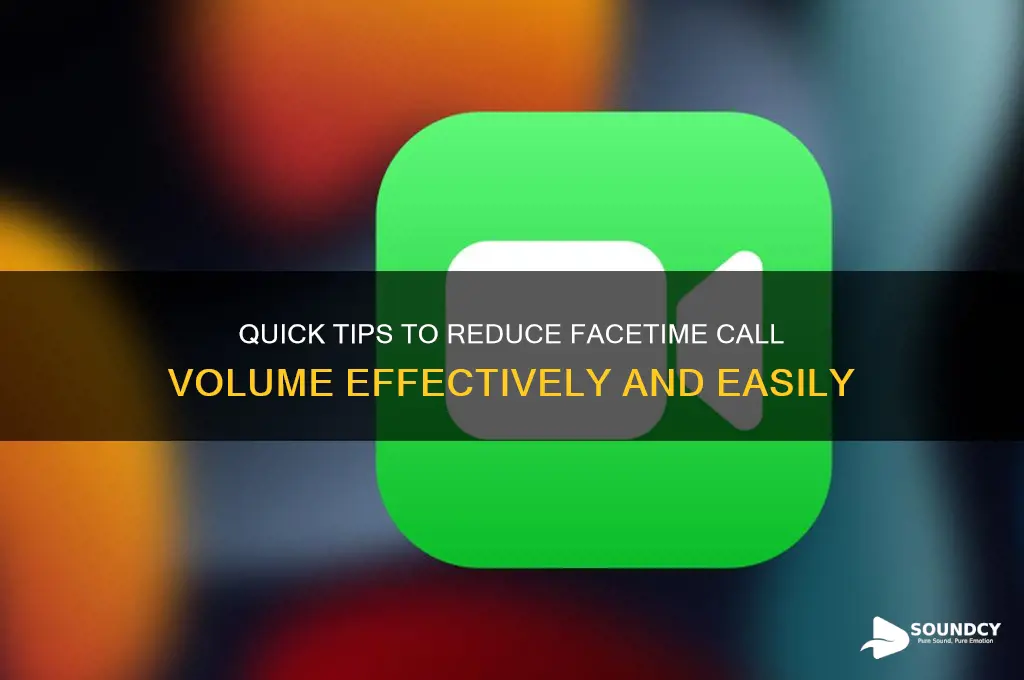 how to lower facetime sound