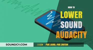 Effective Techniques to Reduce Audio Levels in Audacity for Clearer Sound