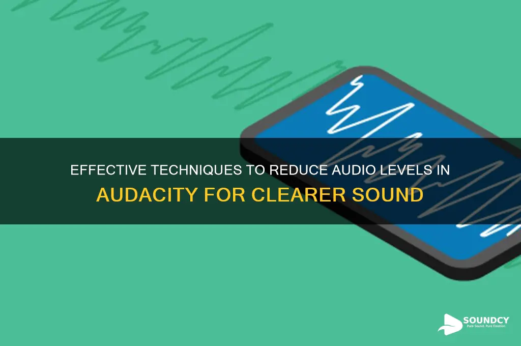 how to lower sound audacity
