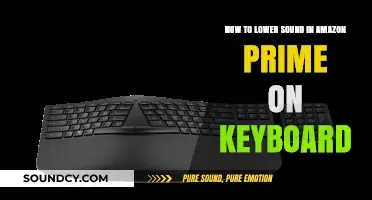 Quickly Reduce Volume on Amazon Prime Using Keyboard Shortcuts