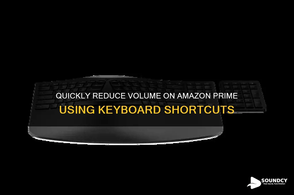 how to lower sound in amazon prime on keyboard