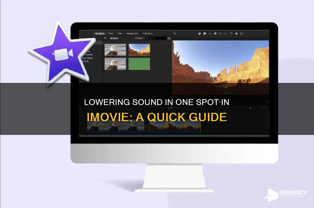 how to lower sound in one spot in imovie