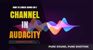 Lowering Volume on a Single Channel in Audacity: A Step-by-Step Guide