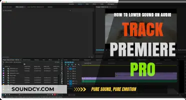 Mastering Audio in Premiere Pro: Techniques to Reduce Track Volume