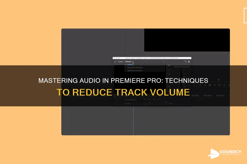 how to lower sound on audio track premiere pro
