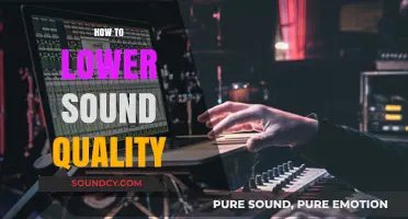 Effective Techniques to Reduce Audio Quality for Specific Applications