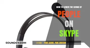 Effective Tips to Reduce Background Noise on Skype Calls