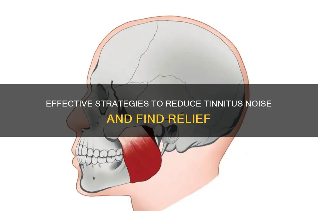 how to lower tinnitus sound
