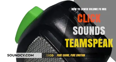 Reduce Mic Click Sounds in Teamspeak: Quick Fixes for Clearer Audio