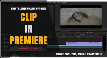 Easy Steps to Reduce Sound Clip Volume in Premiere Pro
