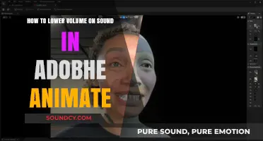 Easy Steps to Reduce Sound Volume in Adobe Animate Projects