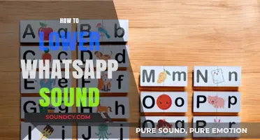 Quick Tips to Reduce WhatsApp Notification Sounds Easily