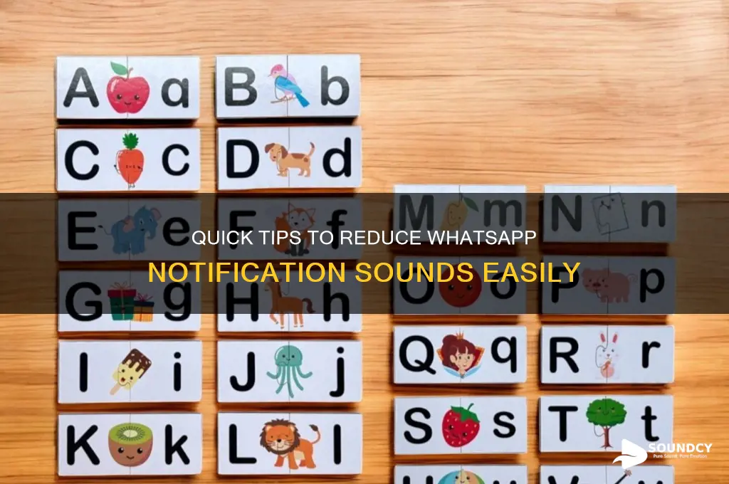 how to lower whatsapp sound