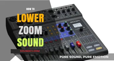Quick Tips to Reduce Zoom Audio Volume Effectively and Easily