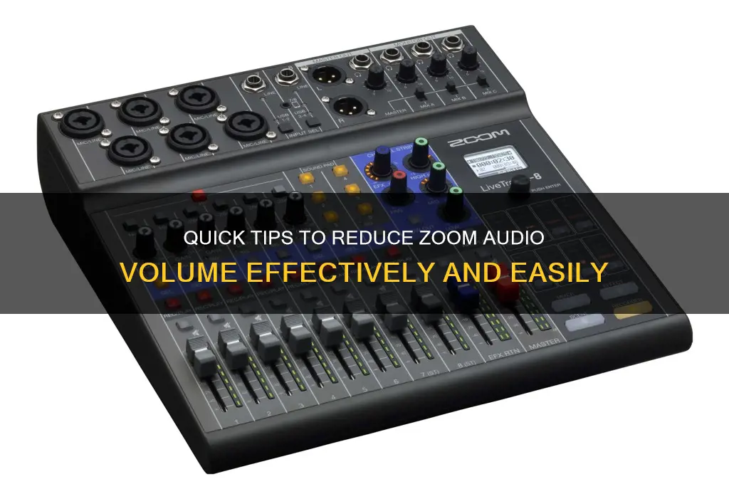 how to lower zoom sound