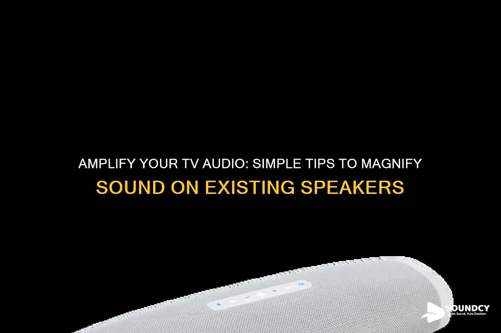 how to magnify sound on existing t v speakers