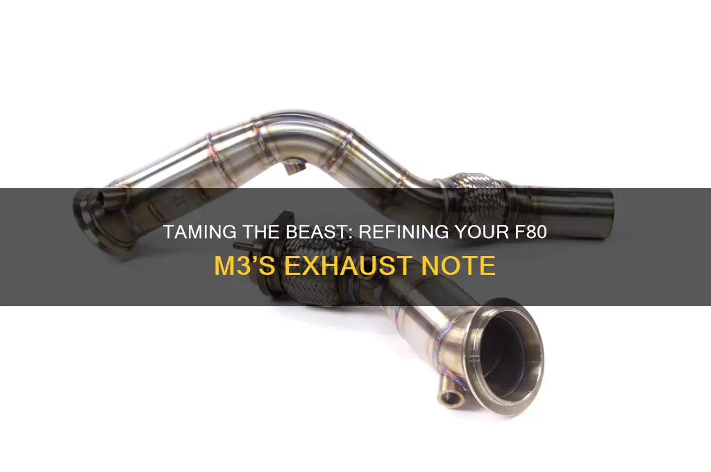 how to mak f80 m3 not sound riced out