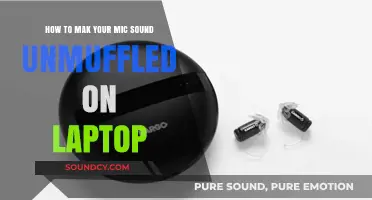 Clear Audio Tips: Unmuffling Your Laptop Mic for Crisp Sound