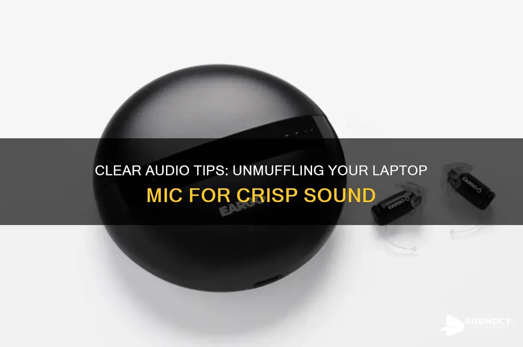how to mak your mic sound unmuffled on laptop