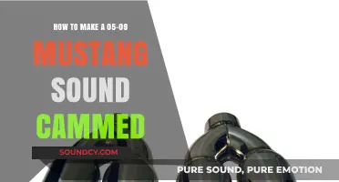 Enhance Your Mustang's Roar: Cammed Sound Guide for 05-09 Models