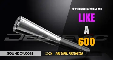 Amplify Your Sound: Transforming a 250 into a 600-Like Powerhouse