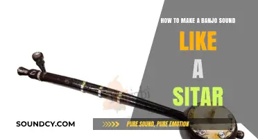 Transform Your Banjo: Techniques to Emulate the Sitar's Unique Sound