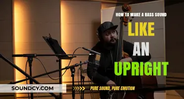 Transform Your Bass: Techniques to Emulate Upright Bass Tones