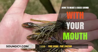 Mastering Mouth Bass: Techniques to Create Deep Vocal Sounds