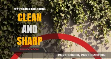 Mastering Bass Clarity: Tips for Clean, Sharp, and Punchy Sound