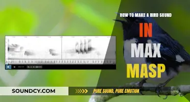 Mastering Bird Sounds in Max MSP: A Creative Synthesis Guide