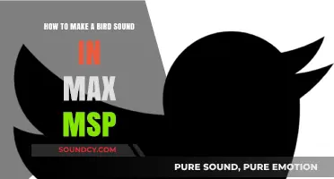Creating Realistic Bird Sounds in Max MSP: A Step-by-Step Guide