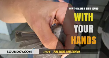Master the Art of Creating Bird Sounds Using Your Hands