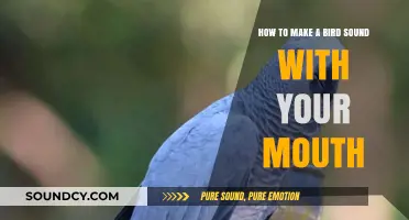 Master the Art of Mimicking Bird Sounds Using Your Mouth
