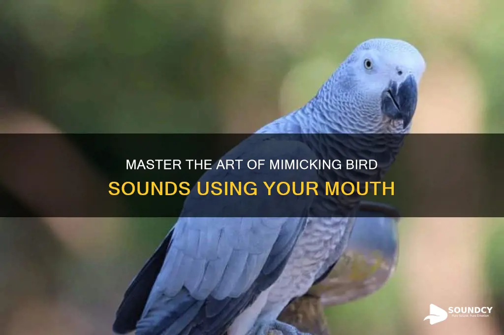 how to make a bird sound with your mouth