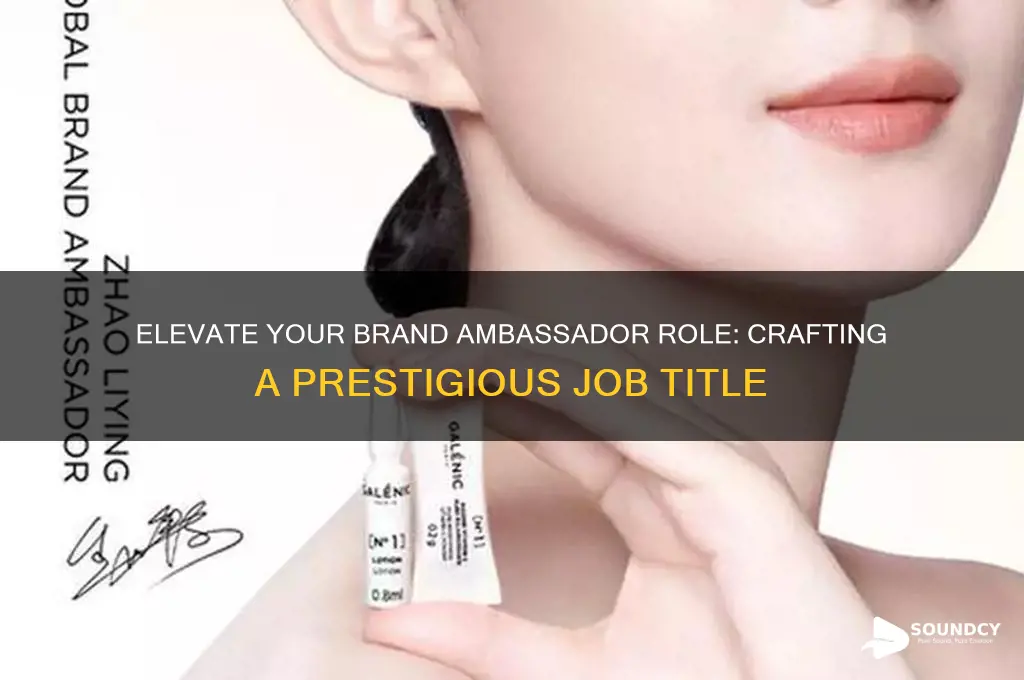 how to make a brand ambassador position sound fancy
