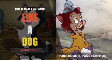 Transform Your Cat’s Meow into a Bark: Creative Techniques Revealed