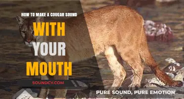 Mastering the Art of Mimicking a Cougar's Growl with Your Mouth