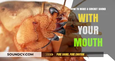 Master the Art of Mimicking Cricket Sounds Using Your Mouth